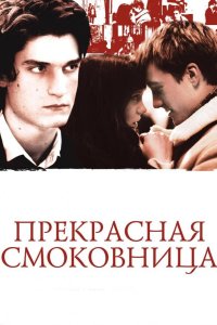 Прекрасная смоковница