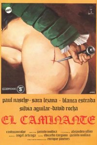Странник 1979