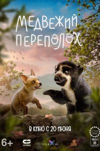 Медвежий переполох 2023
