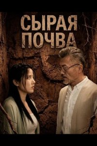 Сырая почва 2024