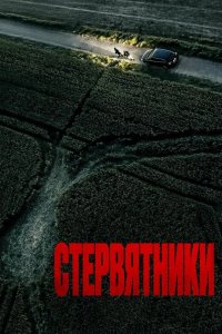 Стервятники 2025