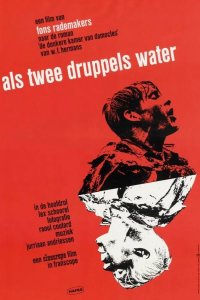 Как две капли воды 1963