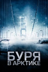 Буря в Арктике 2010