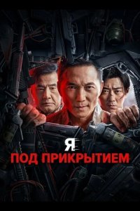 Я под прикрытием 2026