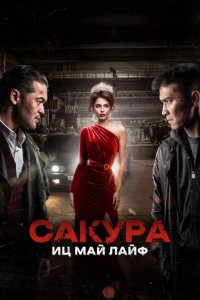 Сакура. Иц май лайф 2024