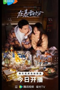 Во время снежной бури 2024