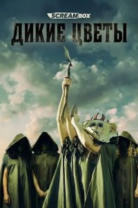 Дикие цветы 2025