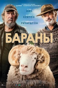 Бараны 2020