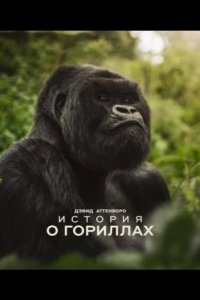 Дэвид Аттенборо. История о гориллах 2026