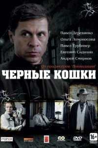 Черные кошки 2013
