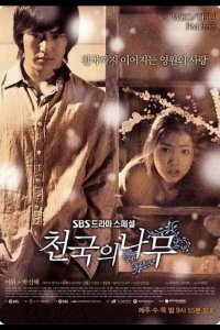 Райское дерево 2006