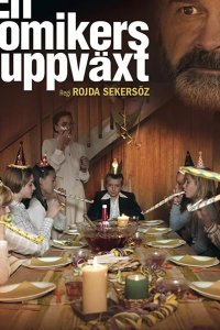 Моя жизнь в качестве комика
