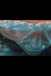 Солнечная страна 2022