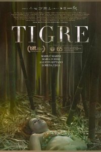 Тигр 2017