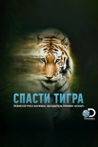 Animal Planet: Спасти тигра 2019