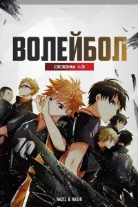 Волейбол 2014