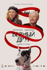 Верный друг 2024