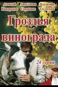 Гроздья винограда 2016