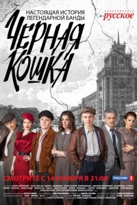 Черная Кошка 2016