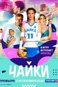 Чайки 2022