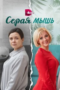 Серая мышь 2023