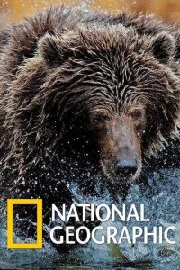 National Geographic. Империя гризли 2015