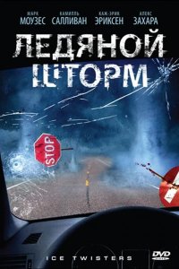 Ледяной шторм 2009