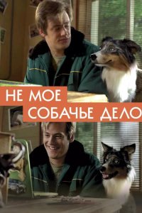 Не моё собачье дело 2020