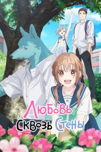 Любовь сквозь стены / Пересечение стен любви с тобой 2025
