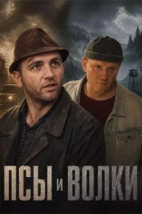 Псы и волки 2025