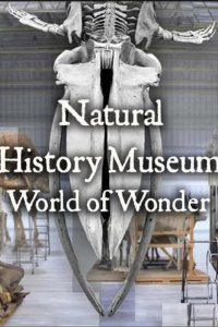 Natural History Museum: World of Wonder 2021