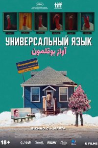 Универсальный язык 2024