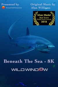 Wild Window: Beneath the Sea 2018