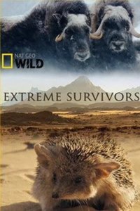 National Geographic. Выжить несмотря ни на что 2014