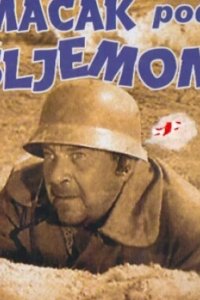 Кот под шлемом 1962